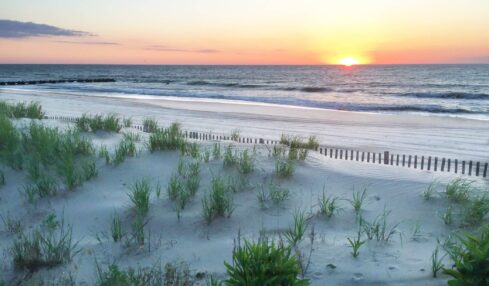 Rehoboth Beach & Dewey Beach Delaware Resort Area
