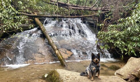 Summer in Rabun County, Georgia