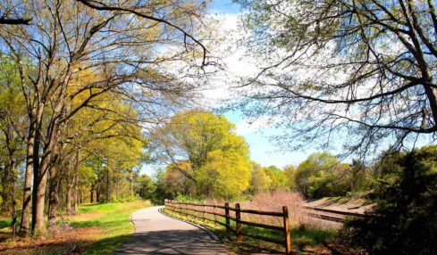 Pickens County destination for hikers