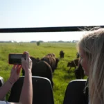 During America’s 250th celebration and beyond, Jamestown invites visitors to experience the prairie at eye level.