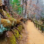 Nacogdoches, Texas Discover Spring and Summer