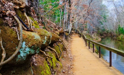 Nacogdoches, Texas Discover Spring and Summer