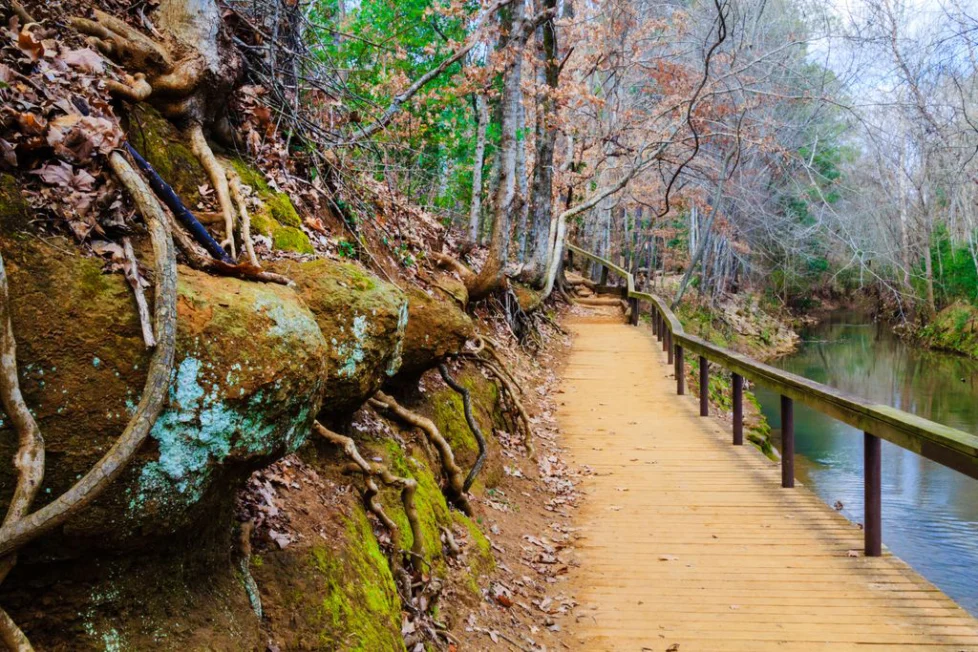 Nacogdoches, Texas Discover Spring and Summer