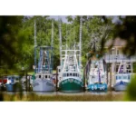 Ocean Springs, Mississippi A Creative Coastal Escape Full of Charm and Flavor
