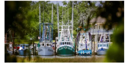 Ocean Springs, Mississippi A Creative Coastal Escape Full of Charm and Flavor