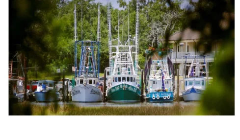 Ocean Springs, Mississippi A Creative Coastal Escape Full of Charm and Flavor