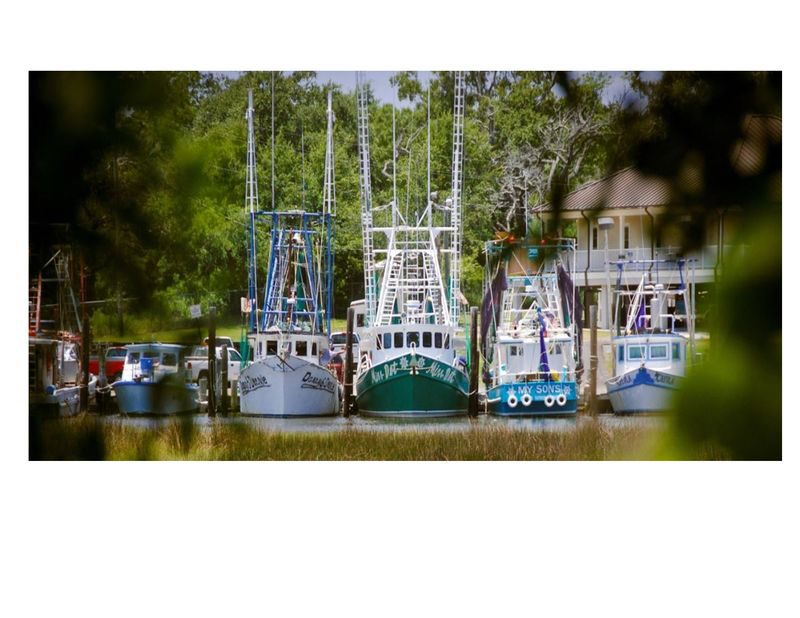 Ocean Springs, Mississippi A Creative Coastal Escape Full of Charm and Flavor