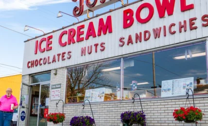 Safari Animals, Space History, and the Best Donut in America