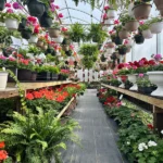 You're Invited to Wander Lancaster and Fairfield County