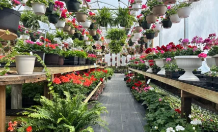 You're Invited to Wander Lancaster and Fairfield County