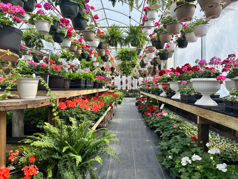 You're Invited to Wander Lancaster and Fairfield County