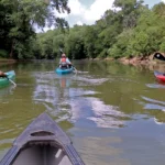 Discover the History and Hospitality of Maury County, Tennessee