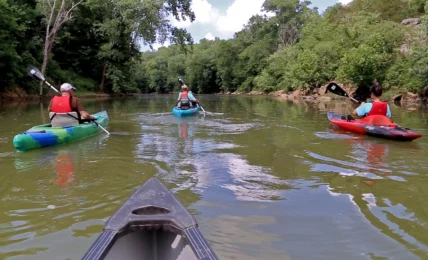 Discover the History and Hospitality of Maury County, Tennessee