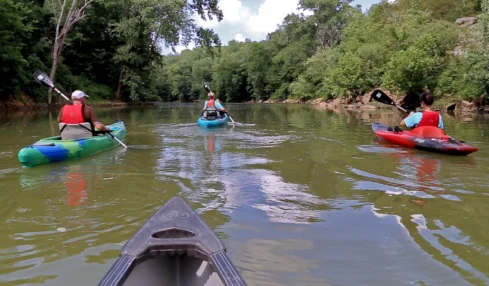 Discover the History and Hospitality of Maury County, Tennessee