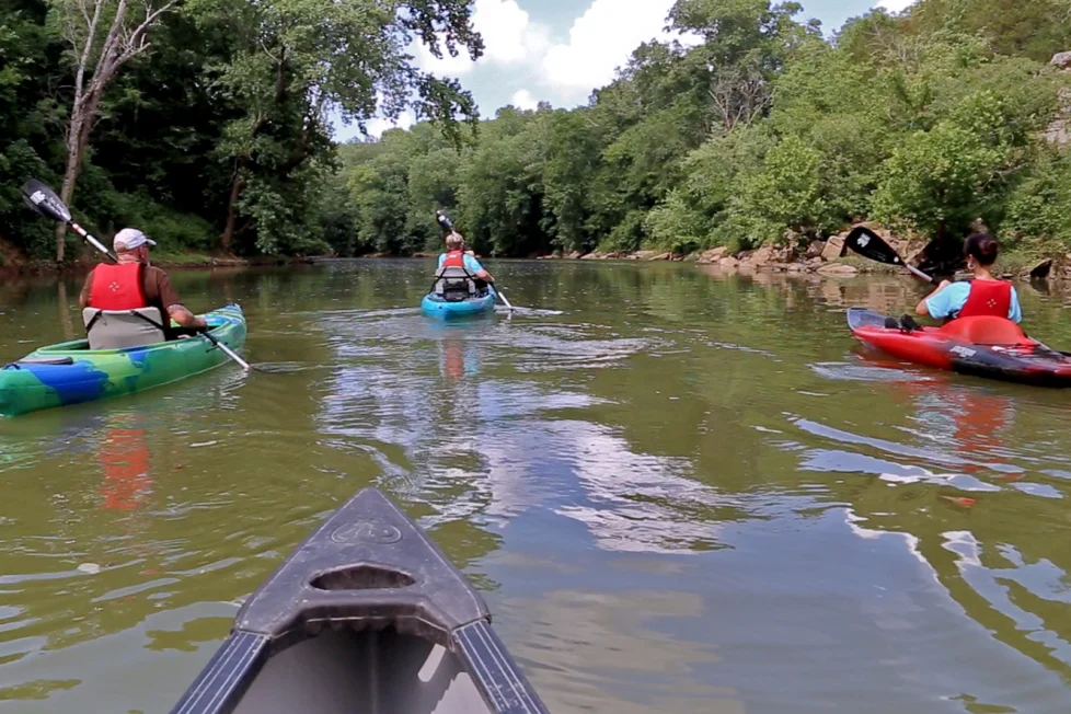 Discover the History and Hospitality of Maury County, Tennessee