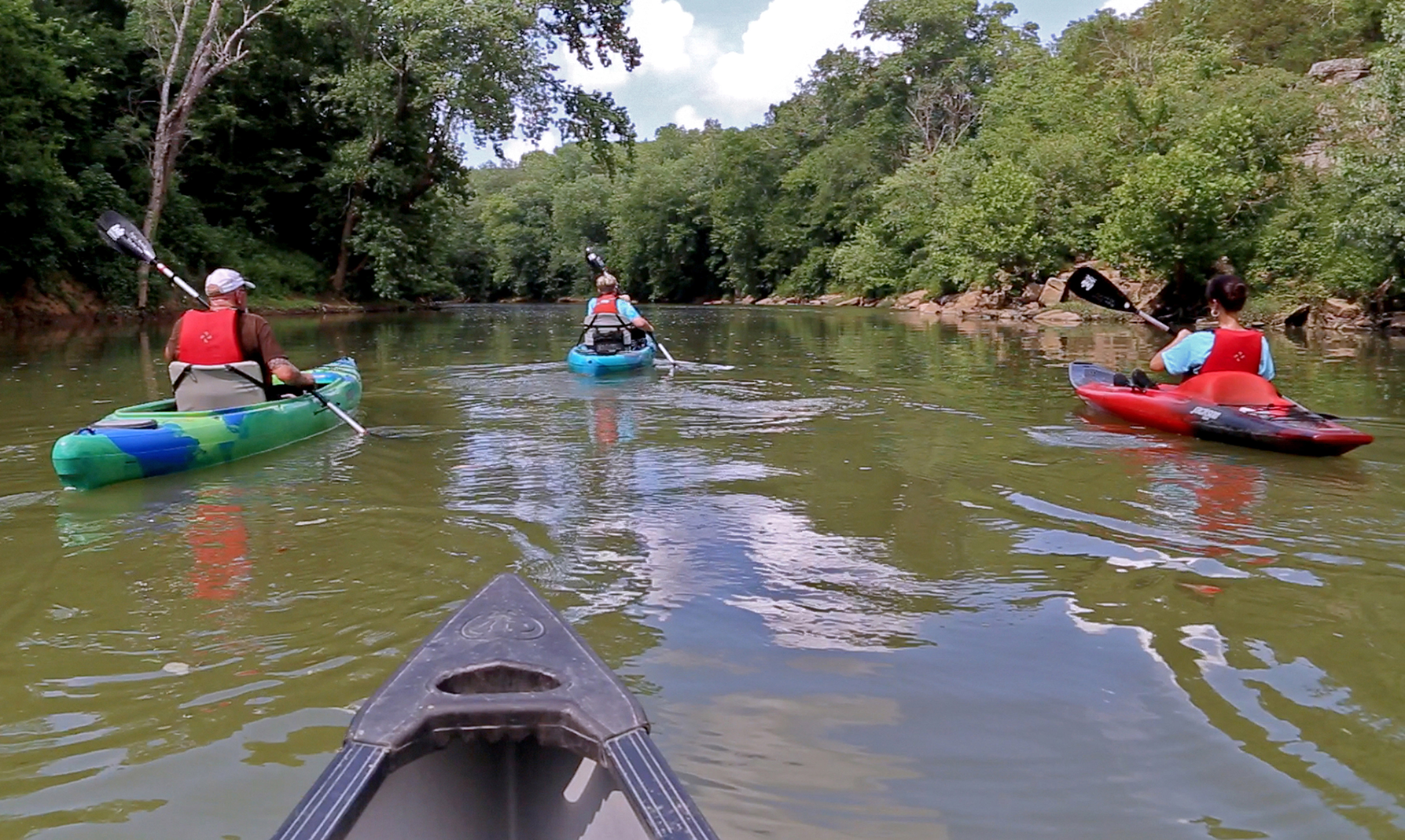Discover the History and Hospitality of Maury County, Tennessee